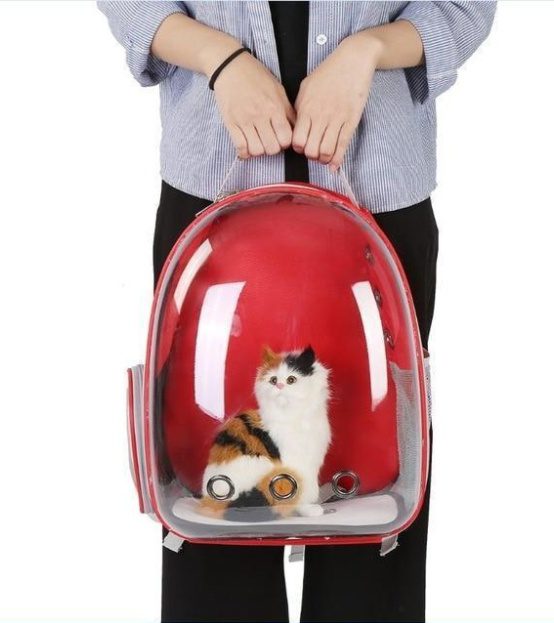 Cat Bag Full Transparent Pet Space Bag - Image 4