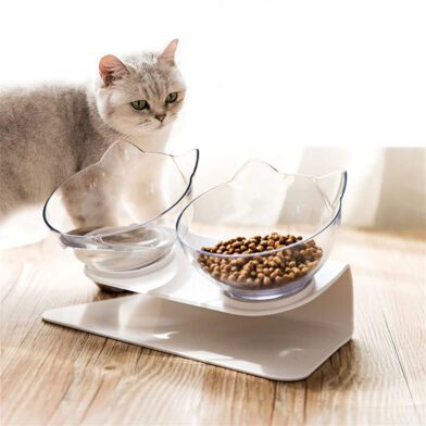 Cat Elevated Feeder Stand With Transparent Bowl