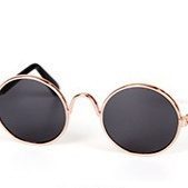 Pet Glasses Cat Sunglasses Pet Accessories Cat Glasses - Image 5