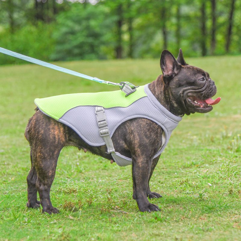 Summer Pet Dog Cooling Vest Heat Resistant Cool Dogs Clothes Breathable Sun-proof Clothing For Small Large Dogs Outdoor Walking - Image 2