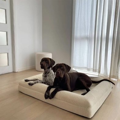 High-end Dog Bed With Memory Foam Waterproof And Removable For Washing