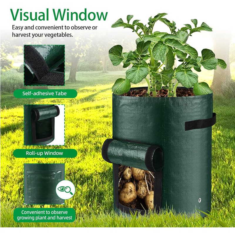 10 Gallon -6 Pack Potato Grow Bags, Heavy Duty PE Fabric Pots With Flap And Handles, Green Planter Bags For Potato Vegetables Outdoor Garden, For All Plants Growing - Image 4