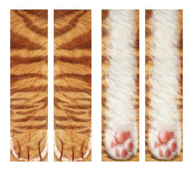 3D Animal Paw Socks Cute Cat Claws Socks Unisex Long Socks - Image 4