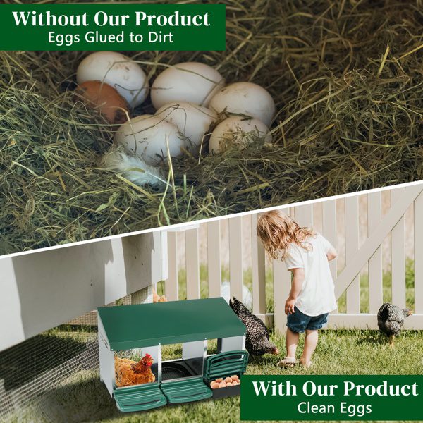 3 Compartment Roll Out Chicken Nesting Box With Plastic Basket, Egg Nest Box Chicken Laying Box Hens Chicken Coop Box, Green - Image 9