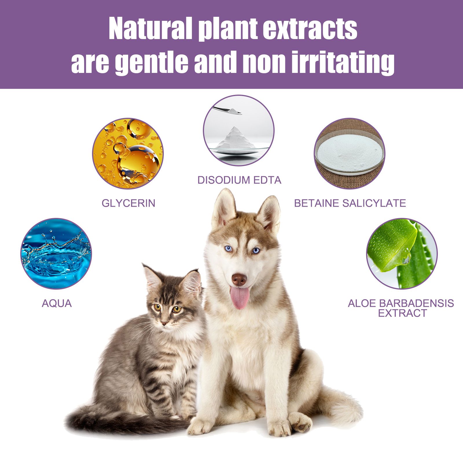 118ml Pet Ear Rinse Cleaner With Glycerin & Disodium EDTA, Anti-Itch Antimicrobial Ear Wash For Dogs Cats, Alcohol-Free Gentle Ear Cleanser With Cotton Swabs - Image 7