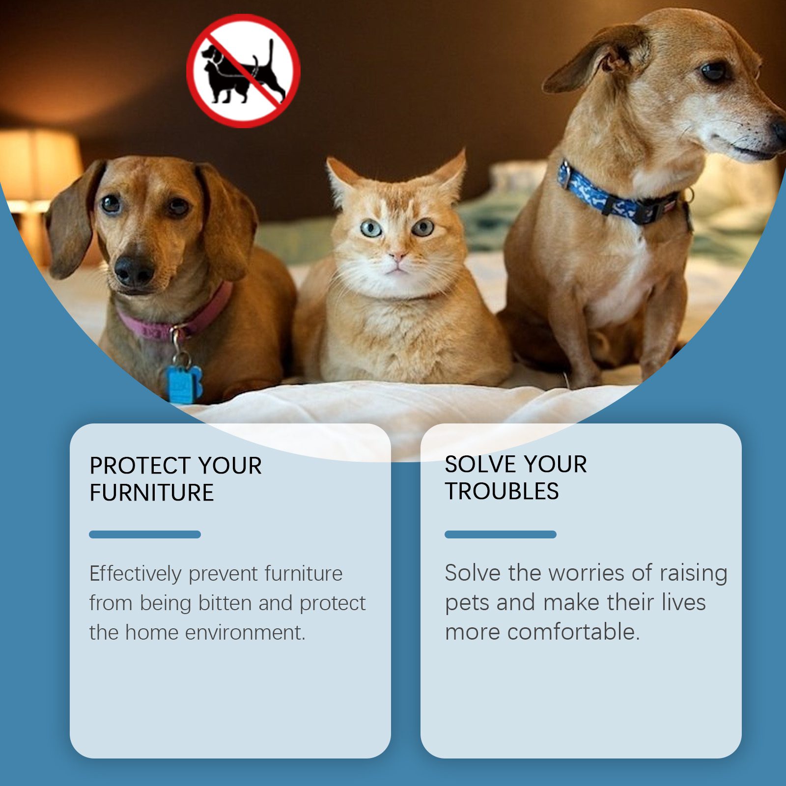 Natural Bite Deterrent Paste To Stop Pets Scratching & Chewing Furniture, Safe Indoor Use 120g - Image 2