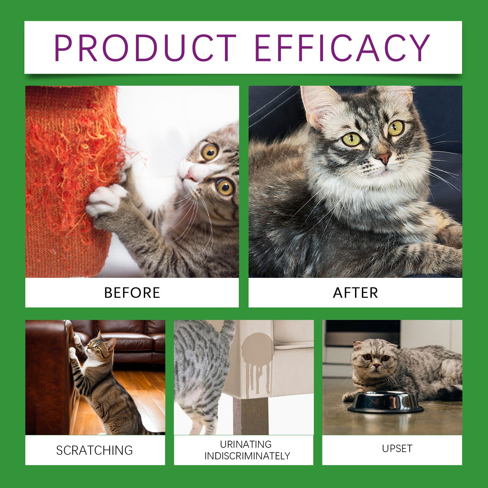 Cat Calming Pheromone Diffuser Kit 45ml, Stress Relief For Anxious Cats & Kittens - Image 6