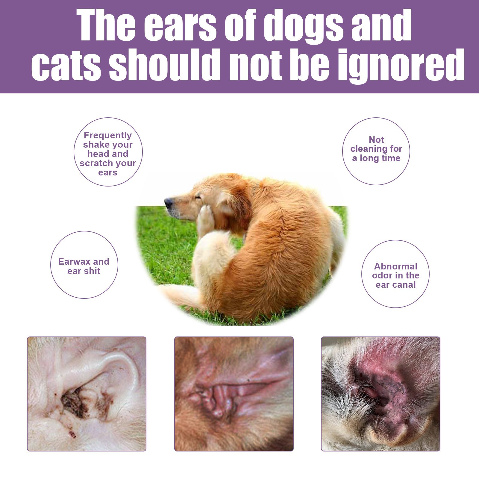 118ml Pet Ear Rinse Cleaner With Glycerin & Disodium EDTA, Anti-Itch Antimicrobial Ear Wash For Dogs Cats, Alcohol-Free Gentle Ear Cleanser With Cotton Swabs - Image 6