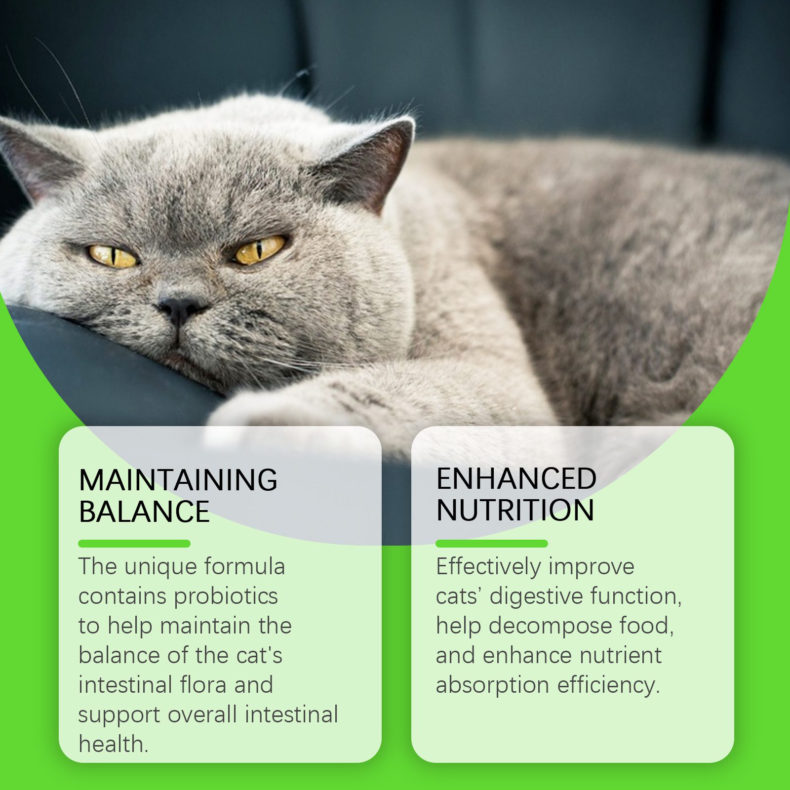 Cat Constipation Relief Probiotic Drops, Natural Digestive Support Supplement For Cats, Boost Nutrient Absorption & Appetite - Image 4