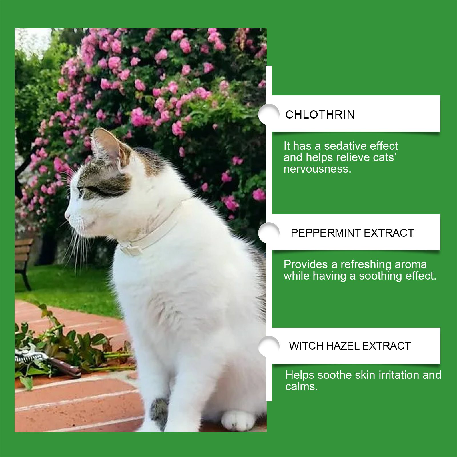 Cat Calming Pheromone Diffuser Kit 45ml, Stress Relief For Anxious Cats & Kittens - Image 8