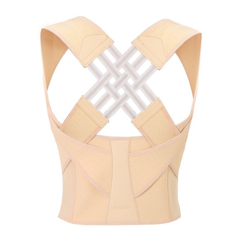 Essential Haven- Back Support Belt -Fix Posture & Relieve Pain Naturally - Image 4