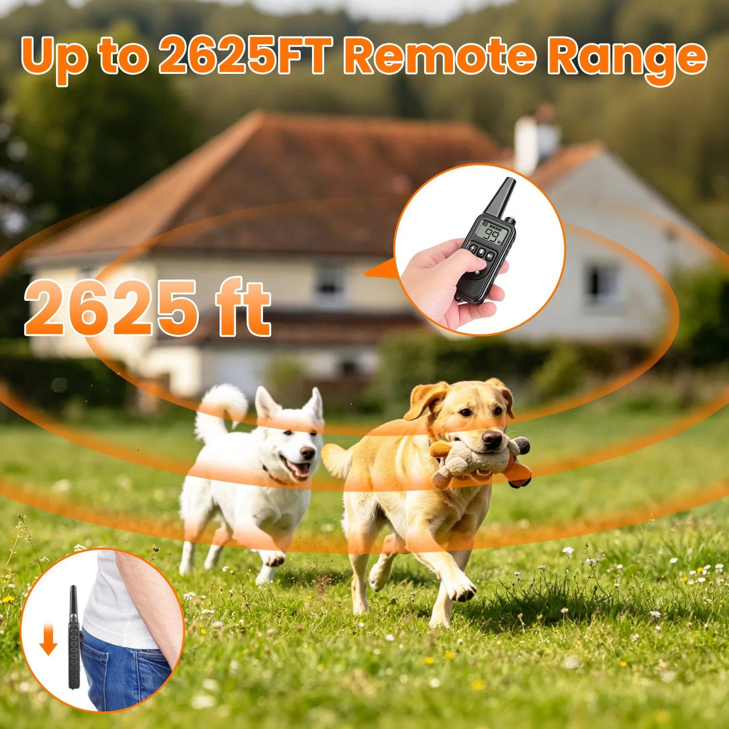 Dog Training Collar with Remote Rechargeable Dog Training Collar IP68 Waterproof with 4 Training Modes 3 Channels for Medium and Small Dogs - Image 6