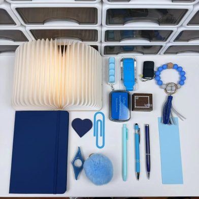 16 Pcs Ladys Home Basic Bookish Bundle