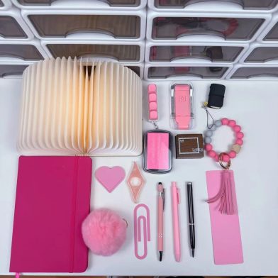 16 Pcs Ladys Home Basic Bookish Bundle
