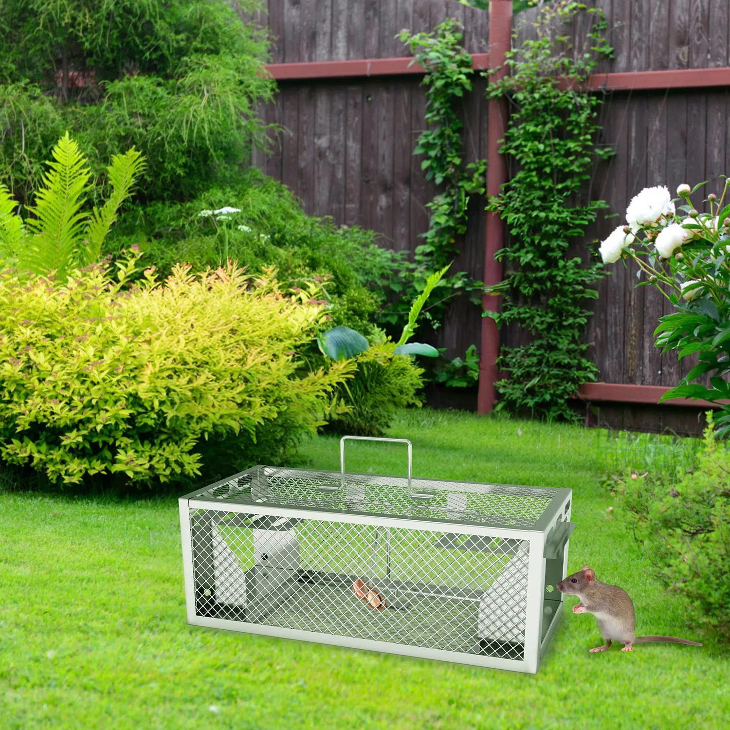 2Pcs Humane Mouse Trap Cage - Dual-Door Design for Continuous Catching, Heavy-Duty Galvanized Iron - Safe, Portable, Indoor/Outdoor Use, Quick 3-Second Setup - Image 7
