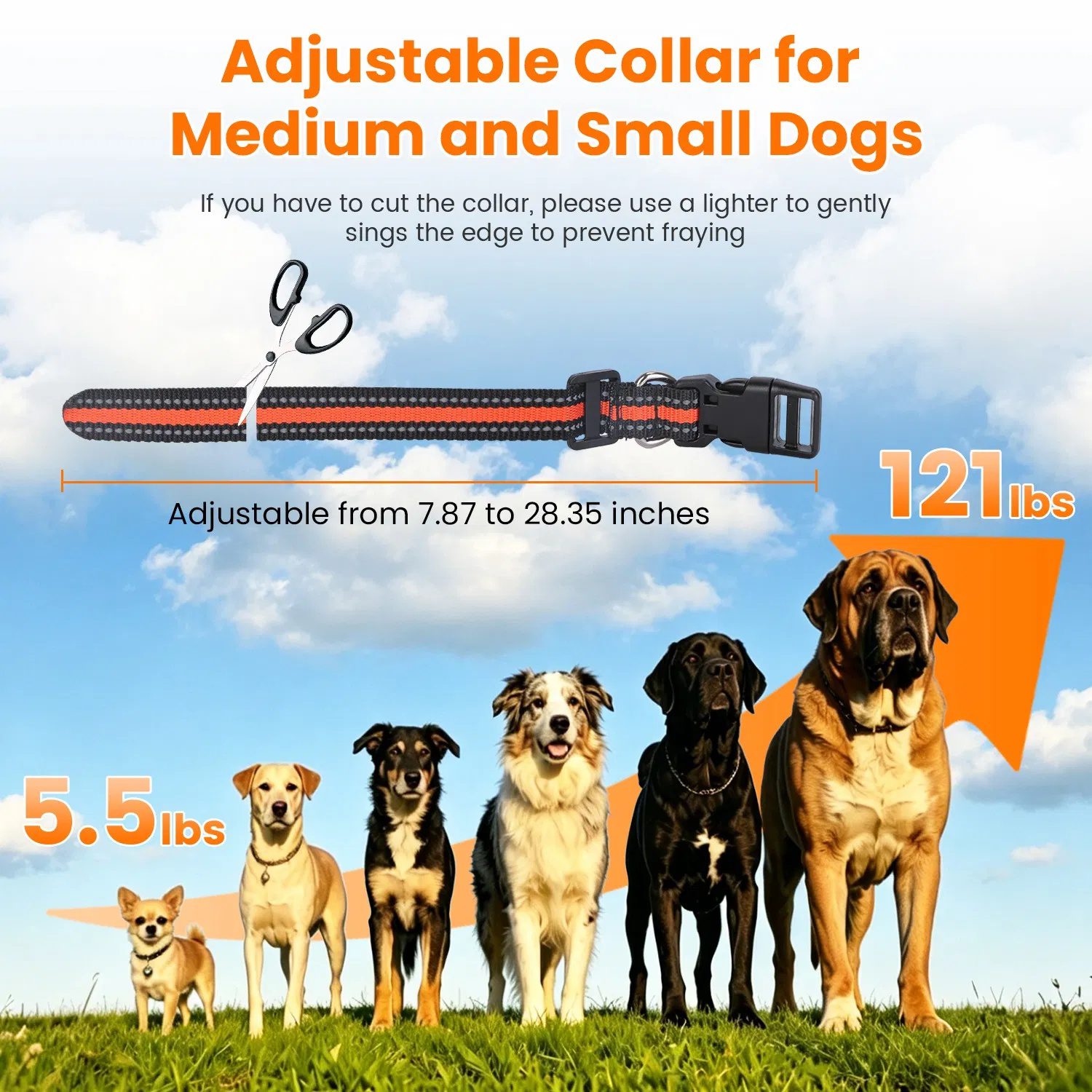 Dog Training Collar with Remote Rechargeable Dog Training Collar IP68 Waterproof with 4 Training Modes 3 Channels for Medium and Small Dogs - Image 8